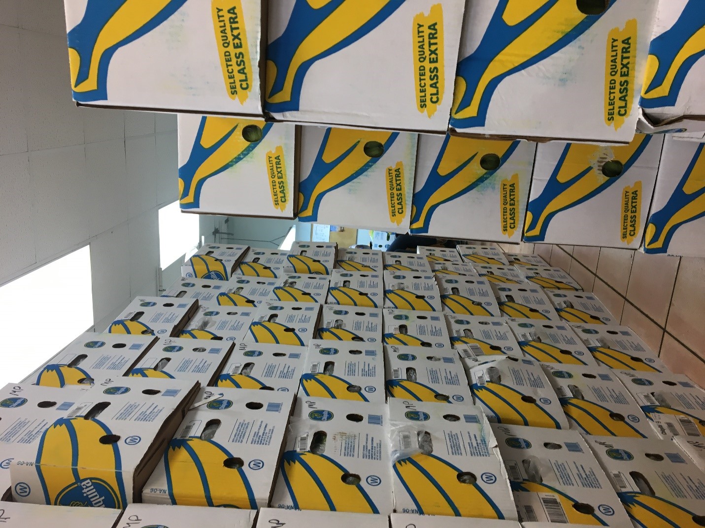 Figure 4: A sample of a typical banana shipment for inspection, 2019 Figure 4: A sample of a typical banana shipment for inspection, 2019