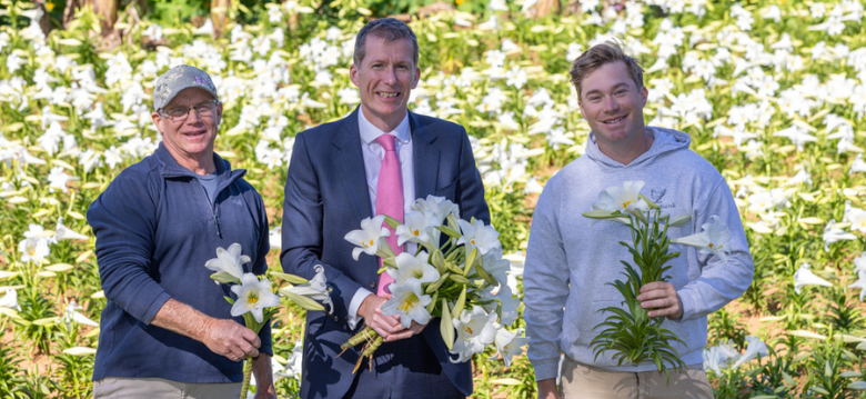Easter Lilies to London
